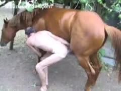 Skinny fuck hungry stud is having intercourse with his friend s horse